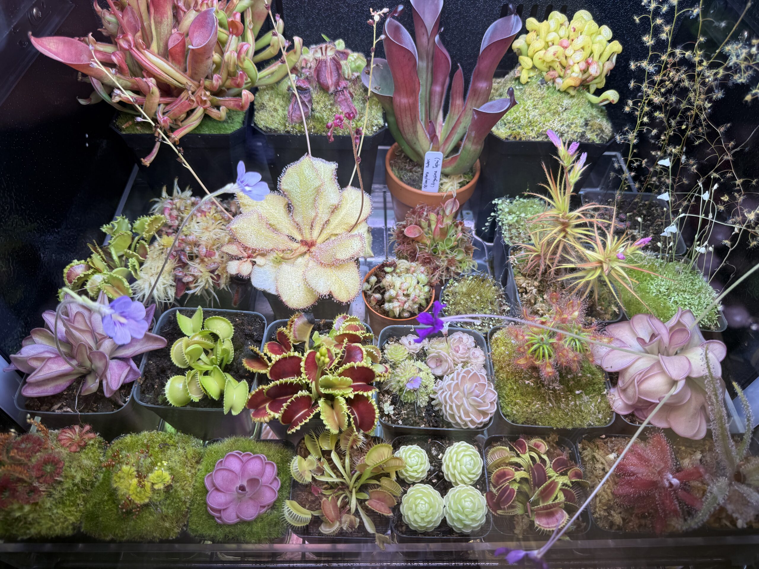 Fish Farm Visit & Hands-on Pond Fishing | 22 December 2025