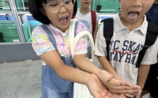 All Children Are Different