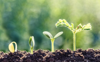 Fish Farm Visit & Hands-on Pond Fishing | 22 December 2025