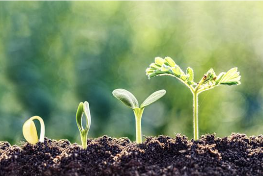 All Children Are Different